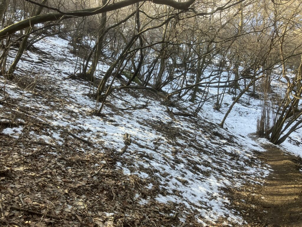 陣馬山の残雪