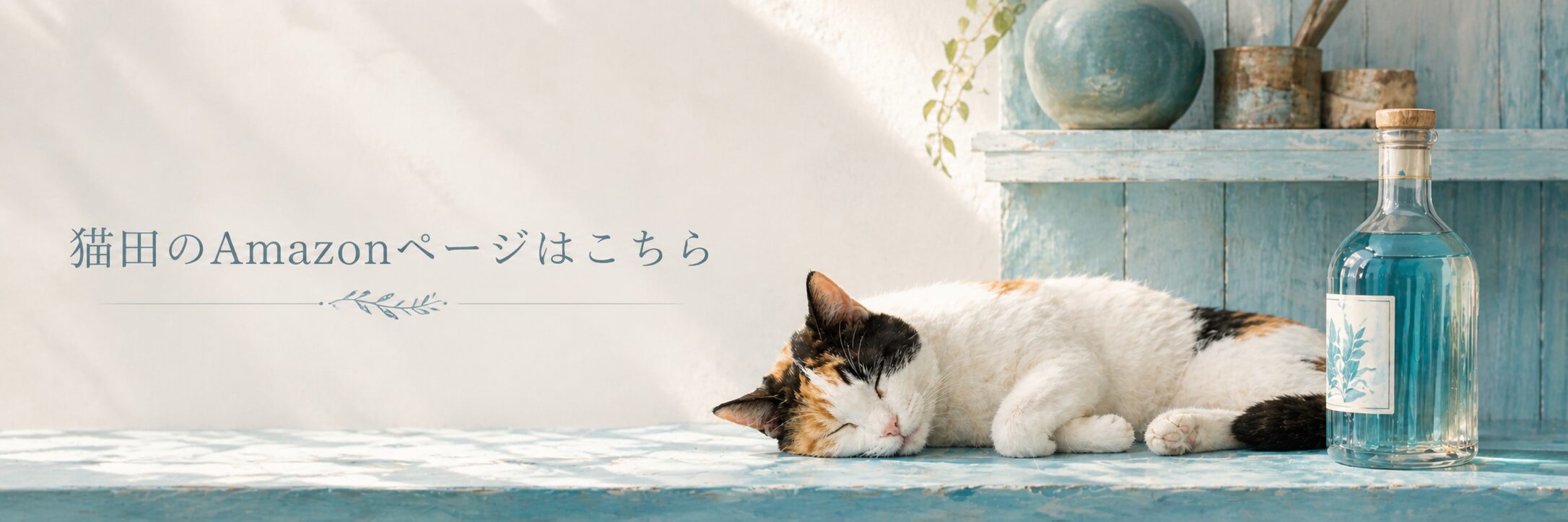猫田のAmazonページへのリンク